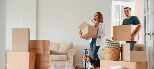 image 4 e1758257366898