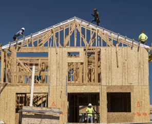 image 21 3 e1762877755395